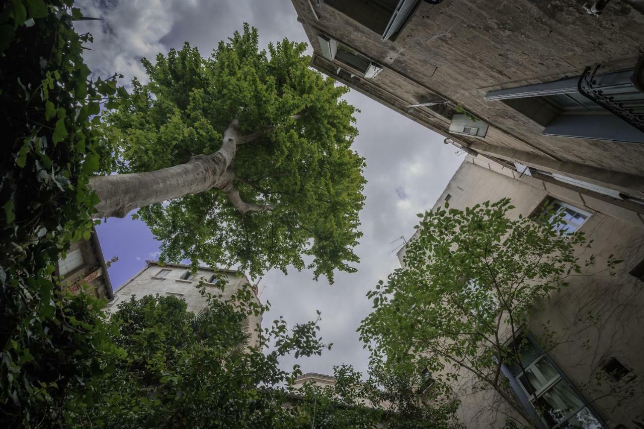 Les Jardins De L'Ecusson - Premiere Conciergerie Lägenhet Montpellier Exteriör bild