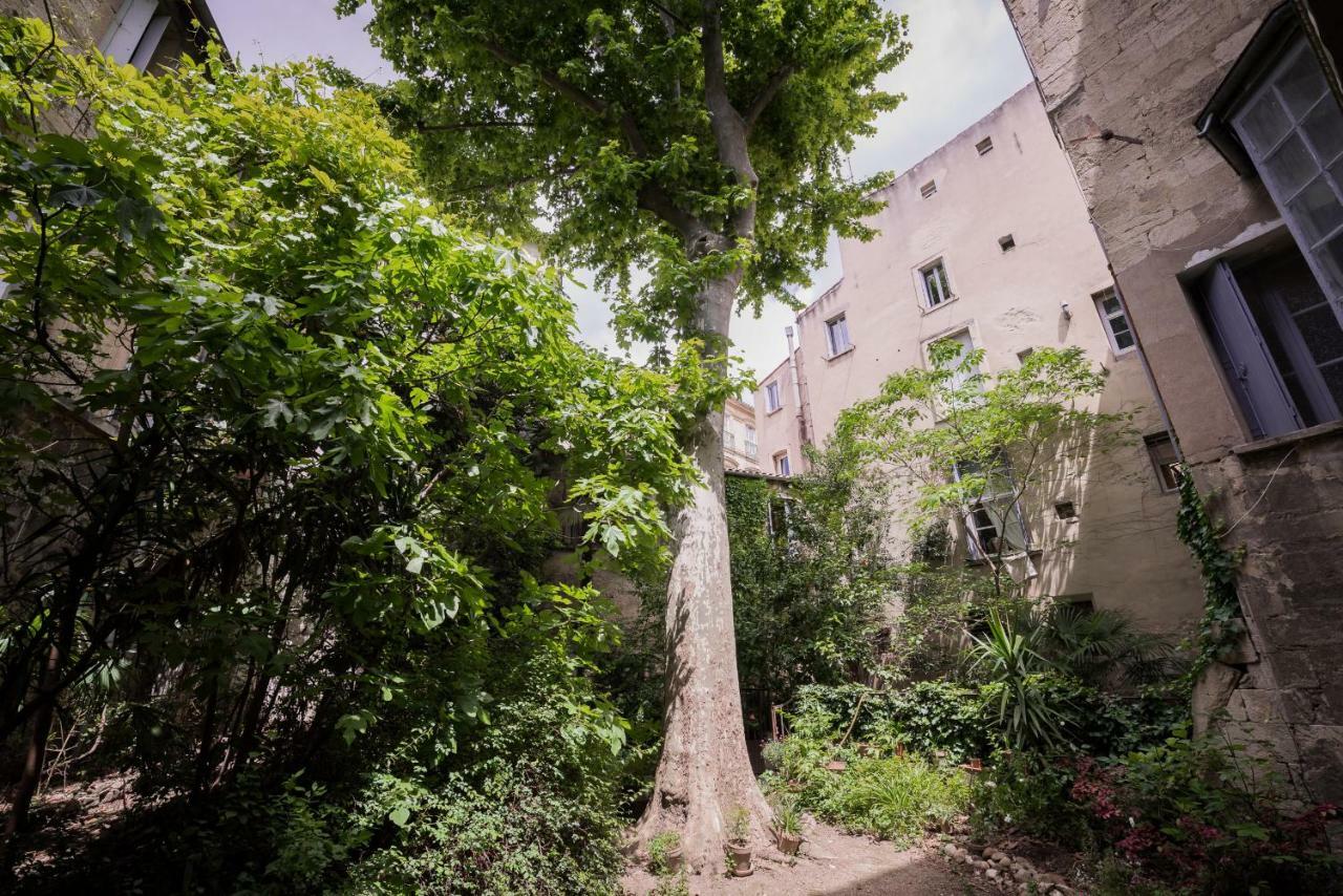 Les Jardins De L'Ecusson - Premiere Conciergerie Lägenhet Montpellier Exteriör bild